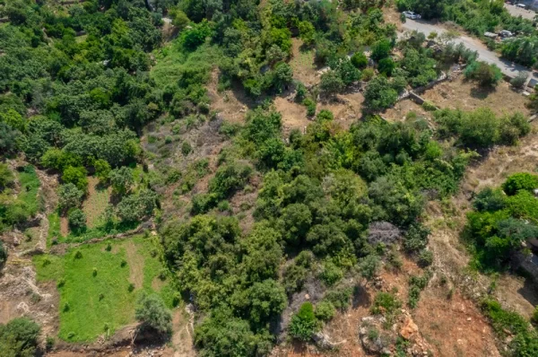 Alanya'nın En Çok Tercih Edilen Bölgesinde Çok Seçenekli Daireler ile Mükemmelliğe Yatırım Yapın