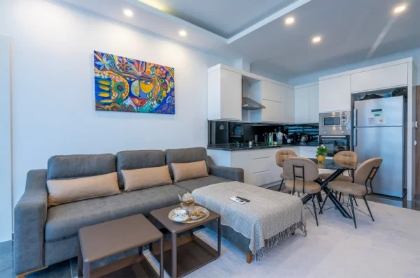 Make a Strategic Investment with Modern One Bedroom One Livingroom Apartment