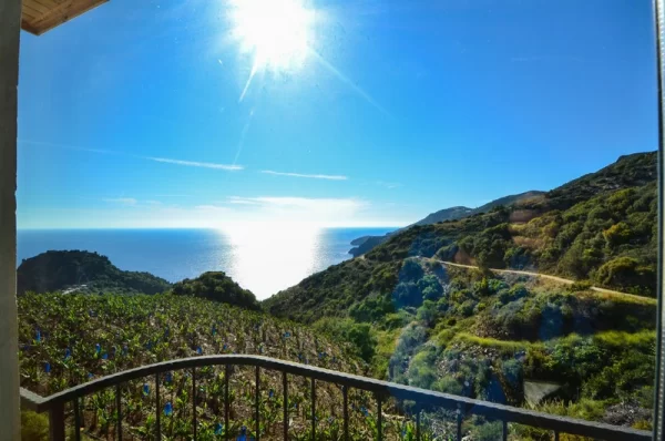 Extraordinary Luxury Living: 3+1 Furnished Villa with a Charming Sea View