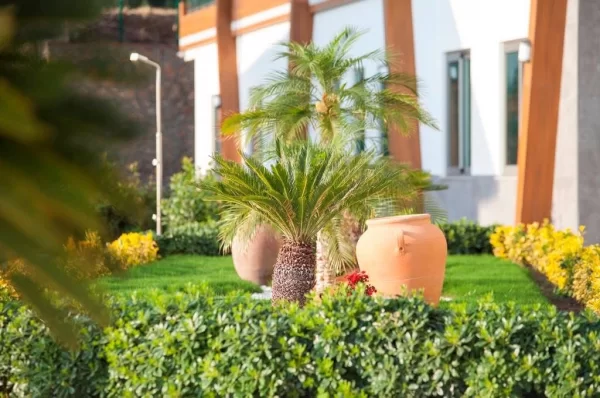 Discover Luxury Real Estate in Kargicak Alanya